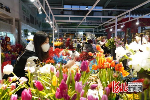 唐山鳳凰花卉市場(chǎng)躋身中國(guó)商品市場(chǎng)峰會(huì)時(shí)尚市場(chǎng)30強(qiáng)，彰顯辦公用品多元化魅力