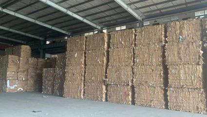 夯實前端回收，轉(zhuǎn)變模式再出發(fā) 劉磊在第七屆中國回收紙行業(yè)大會的探索之路